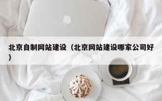 安康北京自制网站建设（北京网站建设哪家公司好）