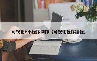 安康可视化+小程序制作（可视化程序编程）